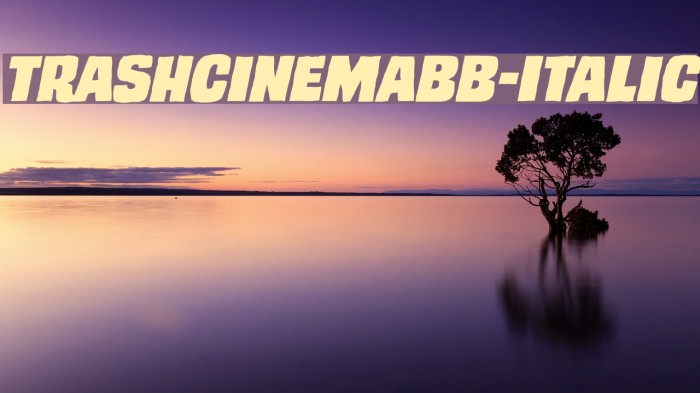 TrashCinemaBB-Italic Font examples