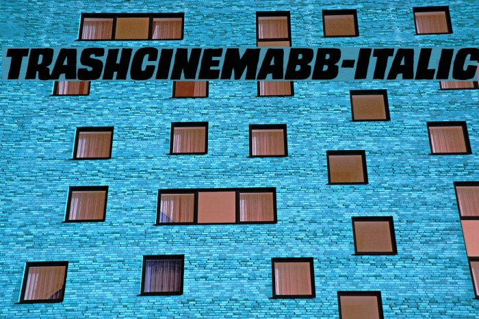 TrashCinemaBB-Italic Font examples