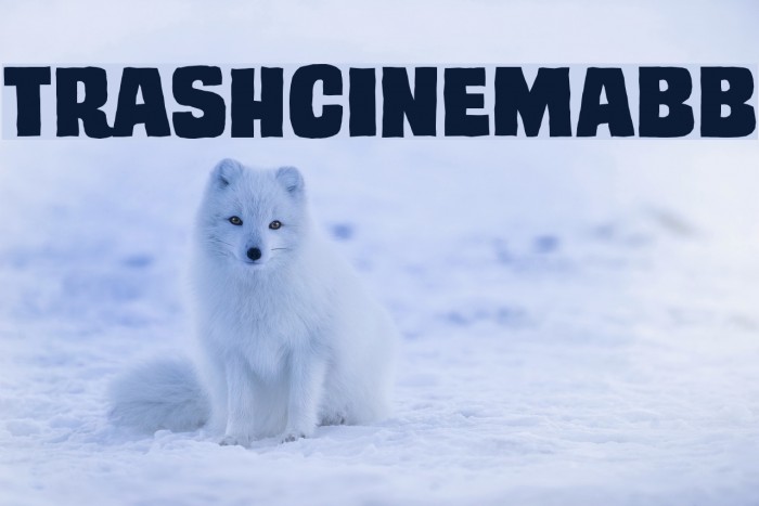 TrashCinemaBB Example 2