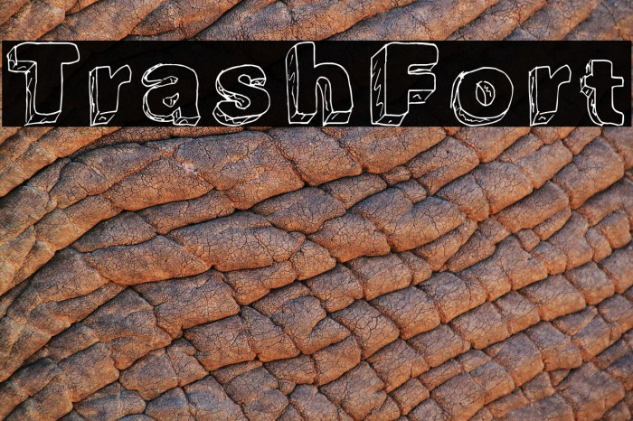 TrashFort Font examples