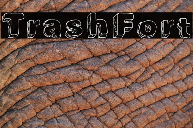 TrashFort Example 2