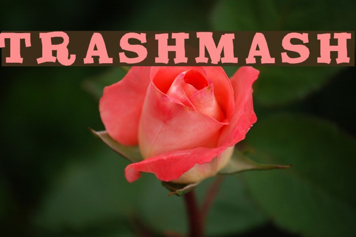 TrashMash Font examples