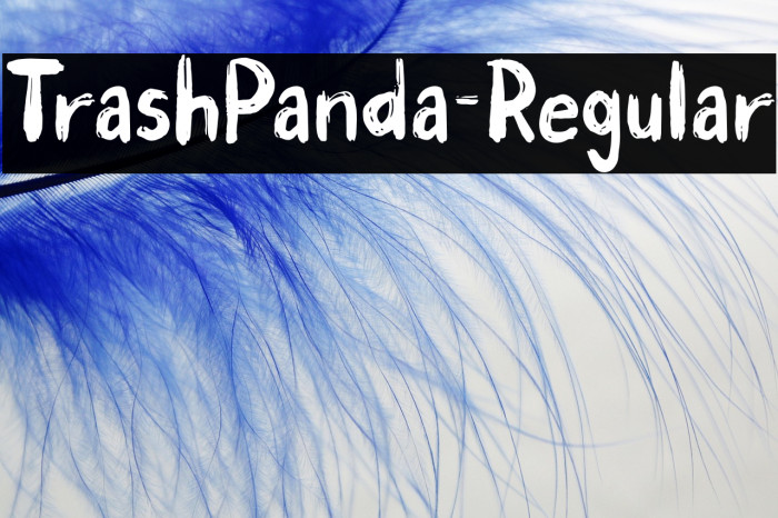 TrashPanda-Regular Example 2