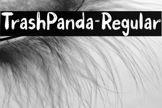 TrashPanda-Regular Font examples