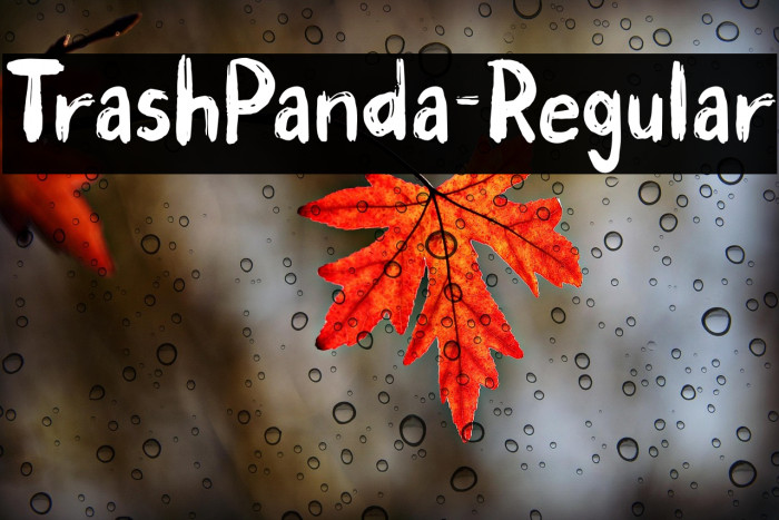 TrashPanda-Regular Example 3