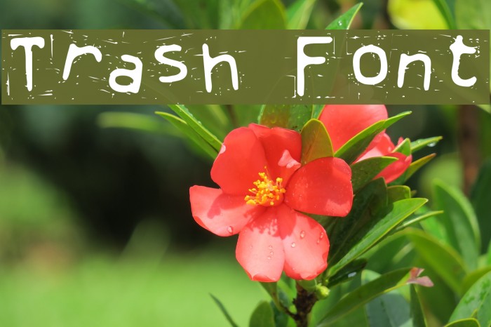 Trash Font examples