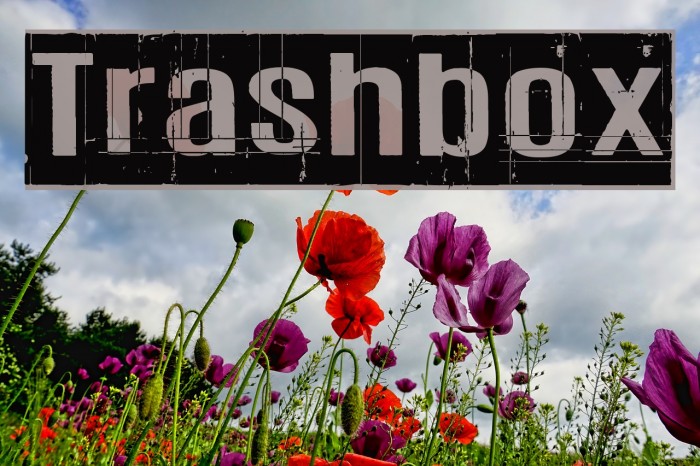 Trashbox Font examples