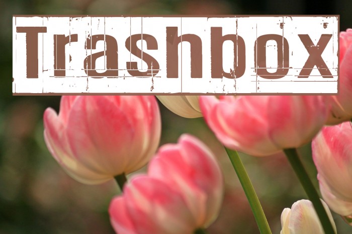 Trashbox Font examples