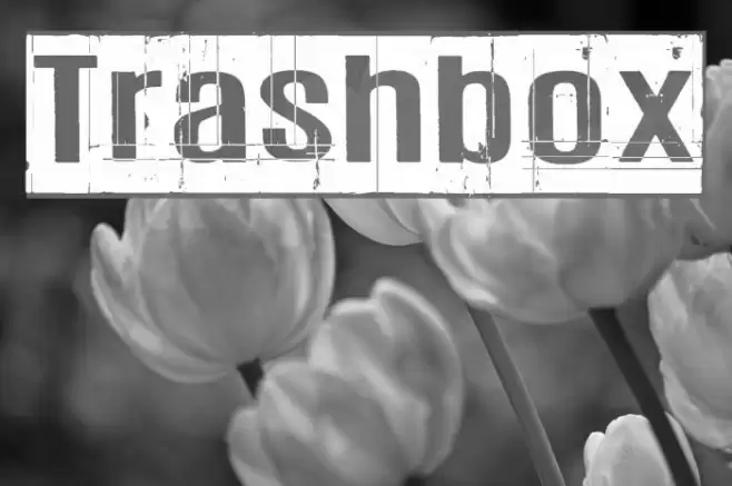 Trashbox Font examples