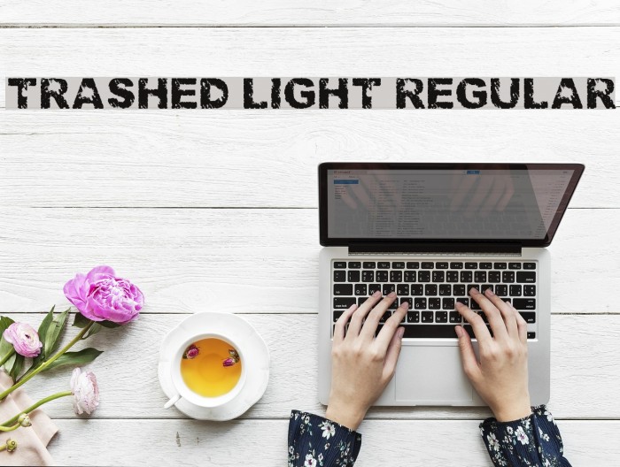 Trashed light Regular Font examples