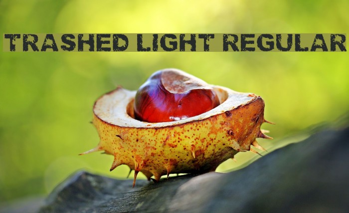Trashed light Regular Font examples