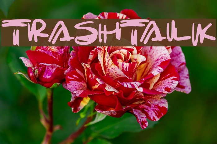 Trashtalk Font examples