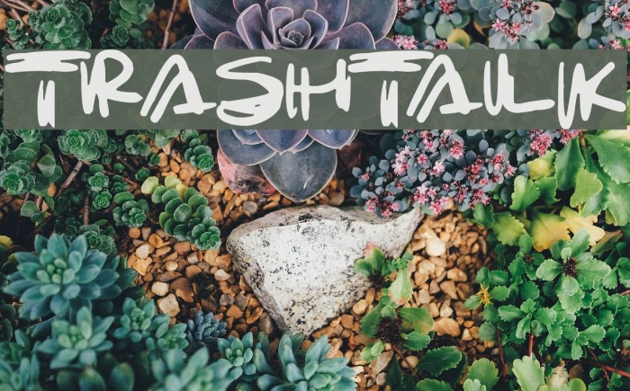 Trashtalk Font examples