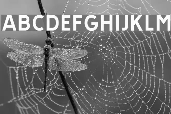 TratexSvart Font examples