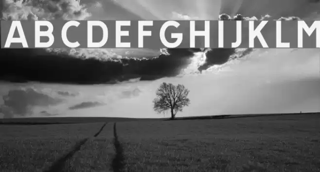 TratexVit Font examples