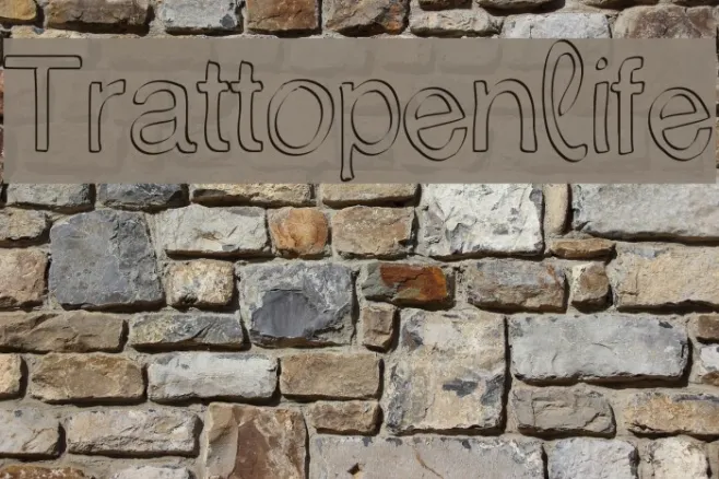 Trattopenlife Example 1