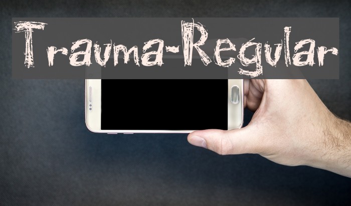 Trauma-Regular Example 1