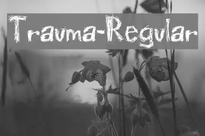 Trauma-Regular Font examples