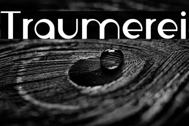 Traumerei Font examples