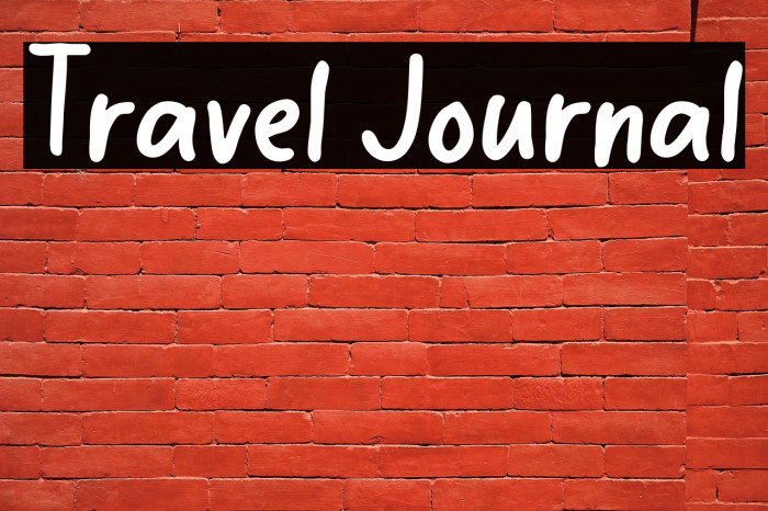 Travel Journal Example 2