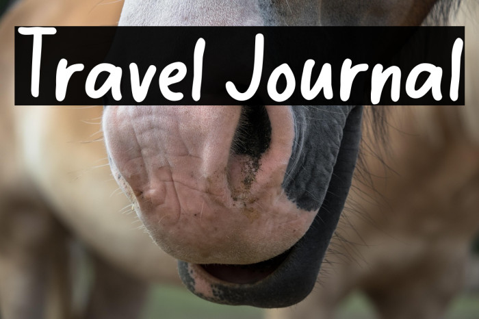 Travel Journal Example 3