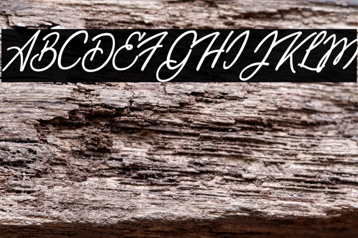 Travel Light Personal Use  Example 2