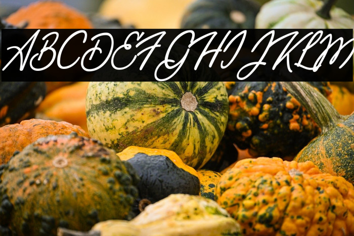 Travel Light Personal Use  Example 3