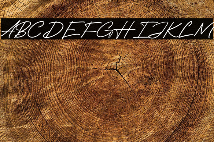 Travel November Example 3