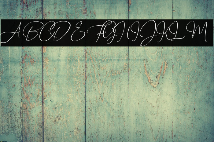 Travel Soulmates Signature Example 1