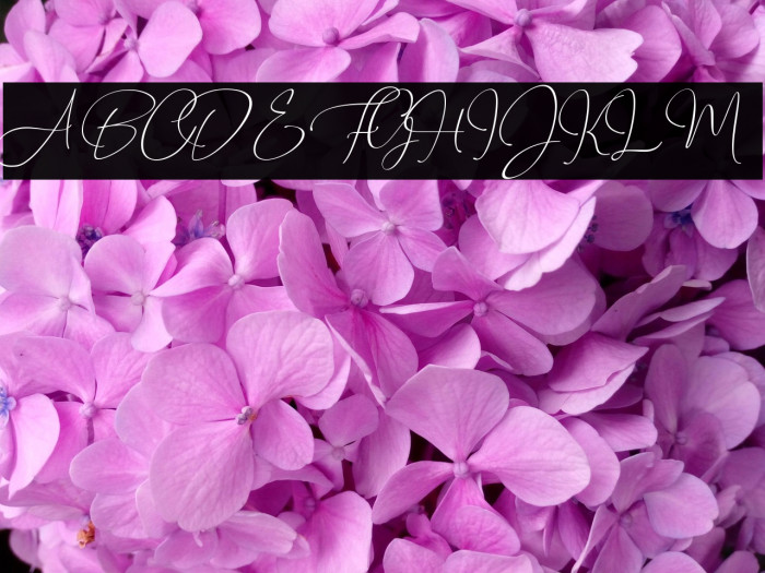 Travel Soulmates Signature Example 3