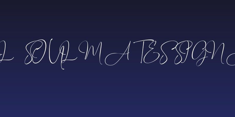 Travel Soulmates Signature Social Header