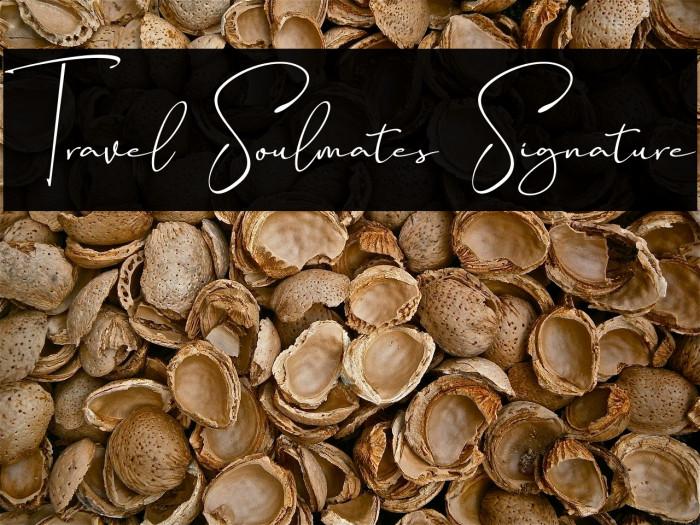 Travel Soulmates Signature Font examples