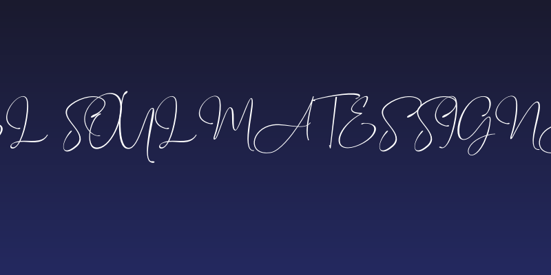 Travel Soulmates Signature Social Header