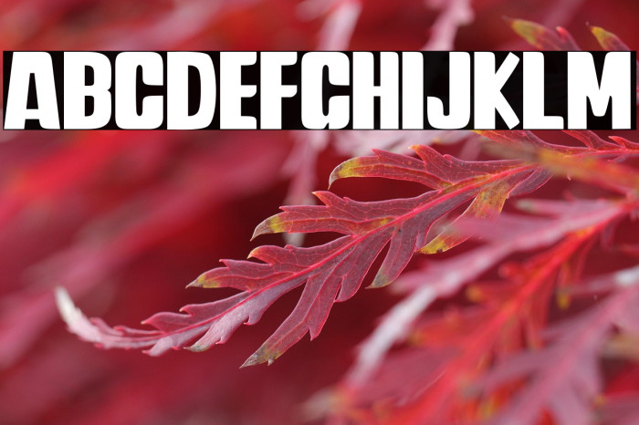 Travel Soulmates Weight Example 3