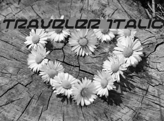 Traveler Italic Font examples