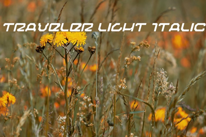 Traveler Light Italic Font examples