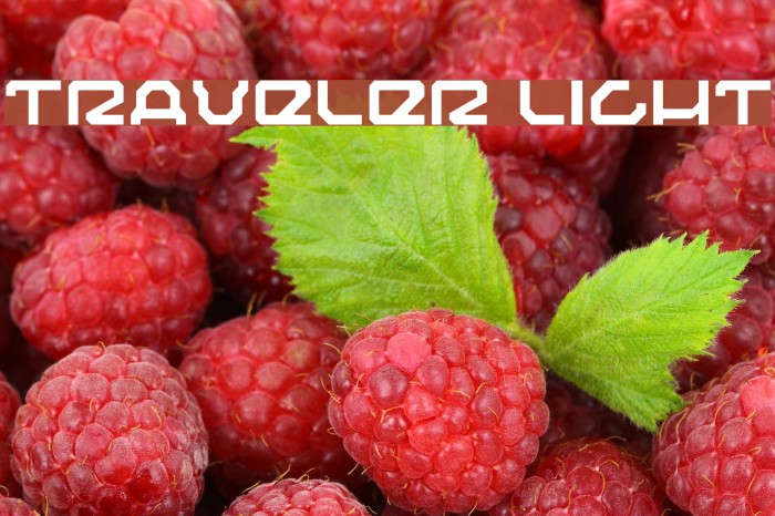 Traveler Light Font examples