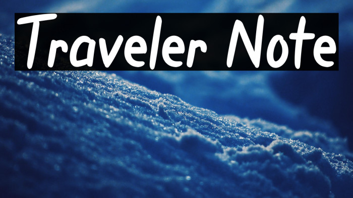 Traveler Note Example 3