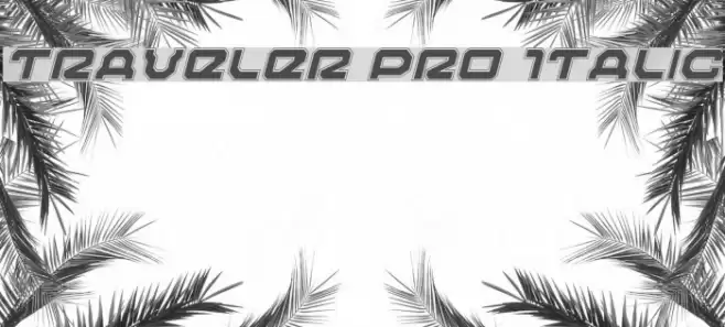 Traveler Pro Italic Font examples