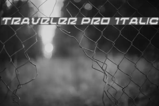 Traveler Pro Italic Font examples