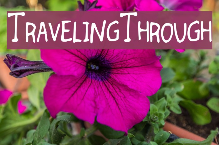 TravelingThrough Font examples