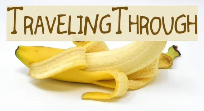 TravelingThrough Example 3