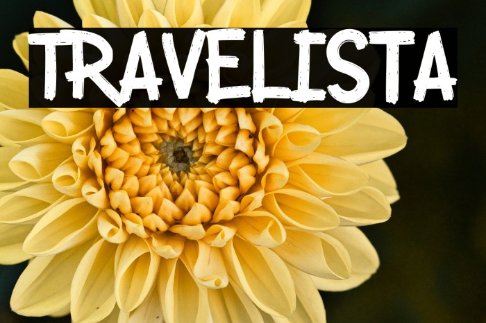 Travelista Example 2