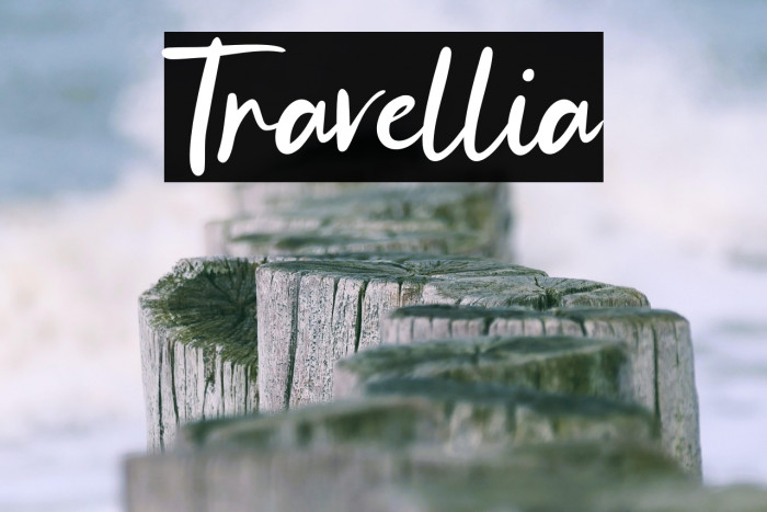 Travellia Example 2