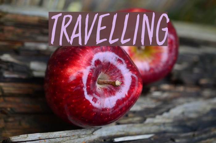 Travelling Font examples