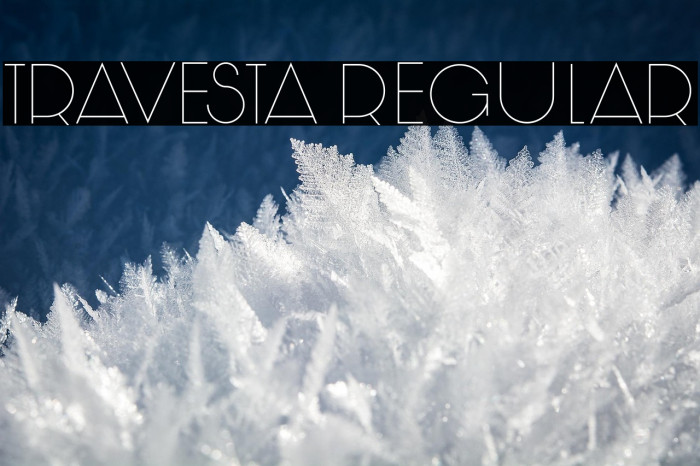 Travesta Regular Example 3