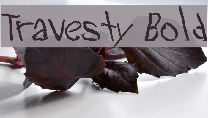 Travesty Bold Font examples