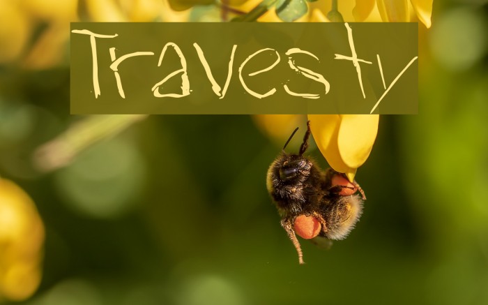 Travesty Font examples
