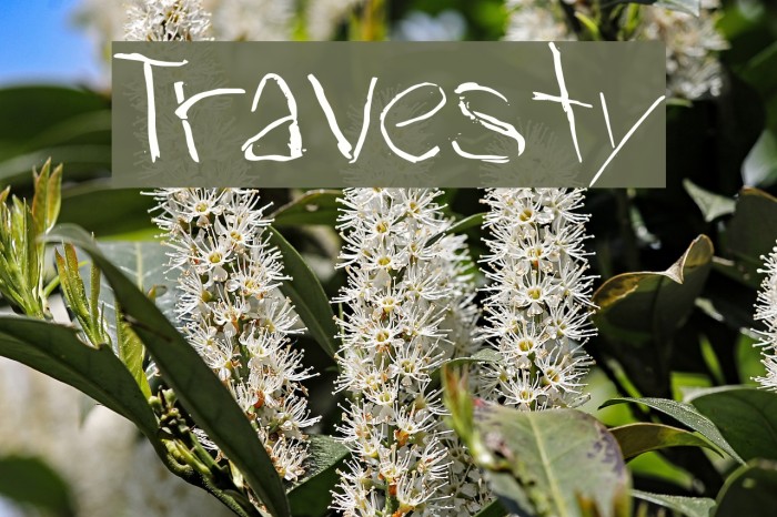 Travesty Font examples