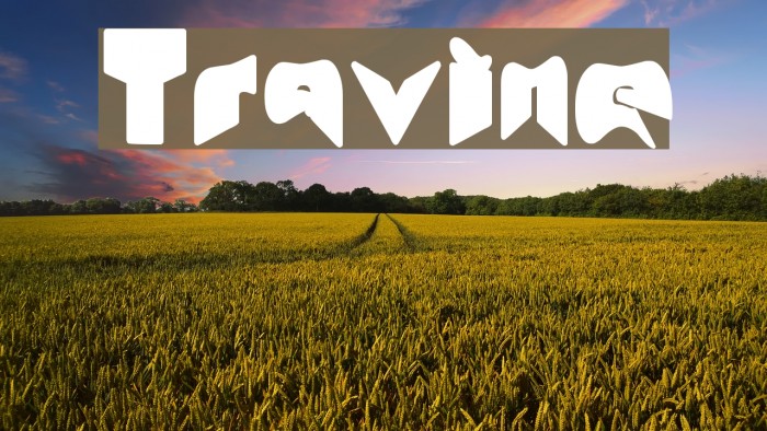 Travine Font examples